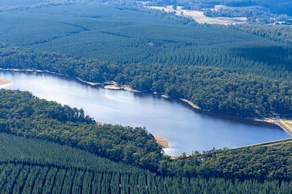 Aerial view of Bostock Reservoir at Spargo Creek, showing the water storage surrounded by dense forest, plantation rows and a visible dam wall.