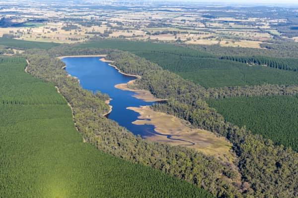 Aerial view of a long inlet of Bostock Reservoir at Spargo Creek, with exposed shoreline, native bushland, pine plantation forest and rural farmland beyond.