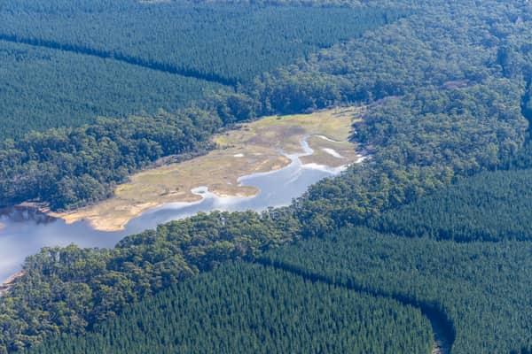 Aerial view of the Bostock Reservoir inlet shoreline near Spargo Creek, Victoria, with exposed lakebed margins surrounded by dense forest and plantation blocks.