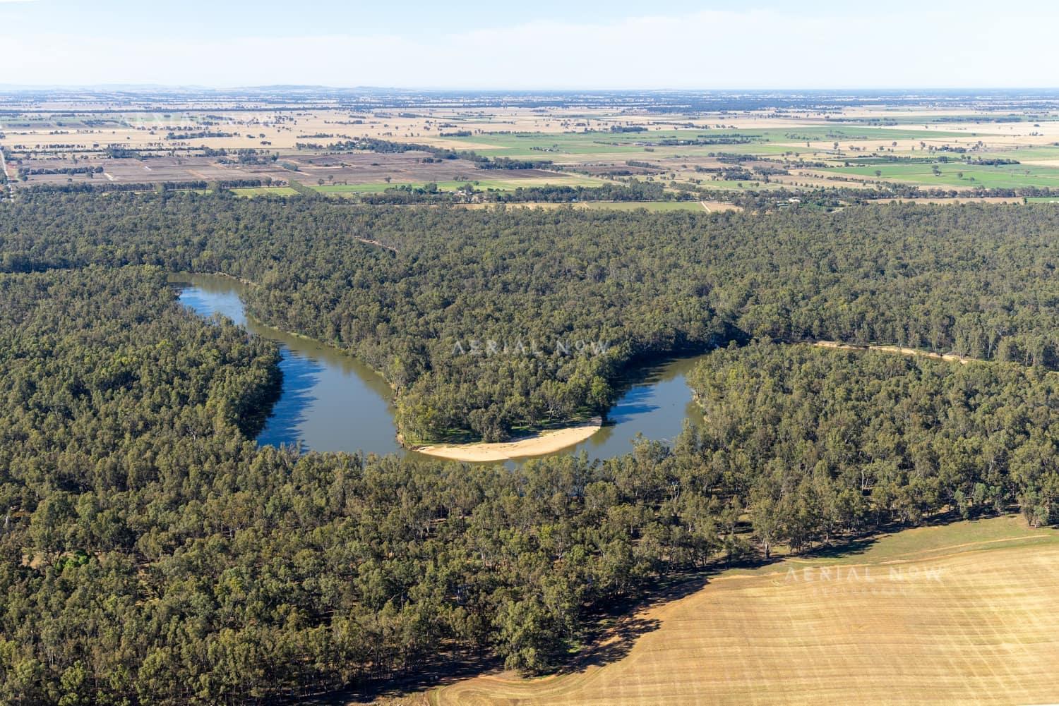 Aerial view of a Murray River bend winding through dense river red gum forest beside open farmland at Cobram East in northern Victoria.
