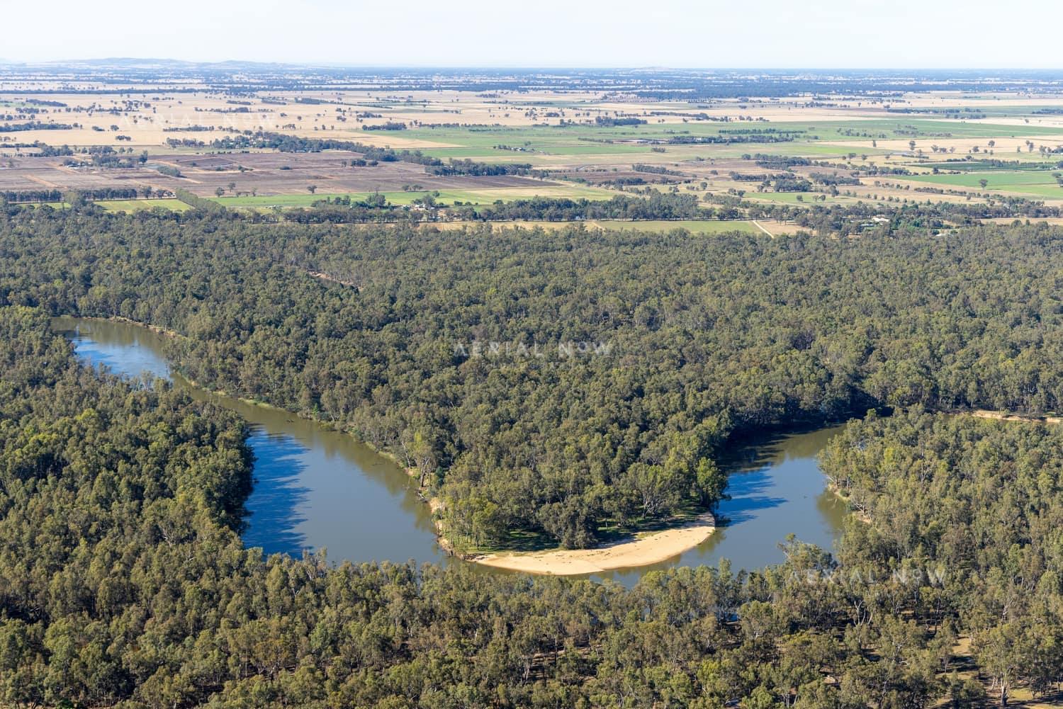 Aerial view of a Murray River bend winding through dense river red gum woodland with farmland beyond near Cobram East, Victoria.