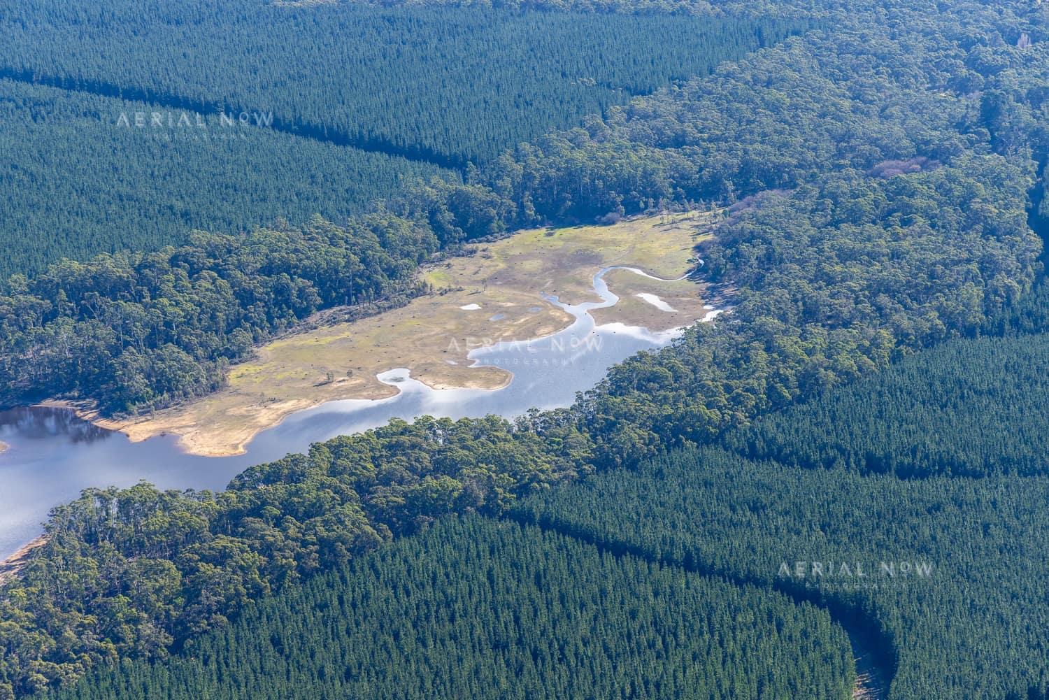 Aerial view of the Bostock Reservoir inlet shoreline near Spargo Creek, Victoria, with exposed lakebed margins surrounded by dense forest and plantation blocks.