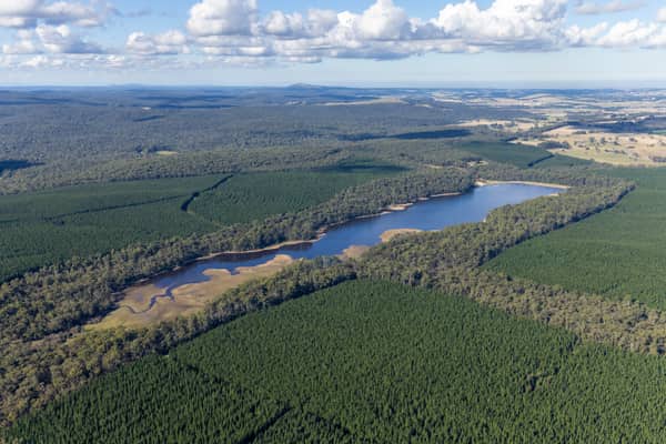 Aerial view of Bostock Reservoir near Barkstead, showing the reservoir water, exposed shallow edges, surrounding forest and plantation country.