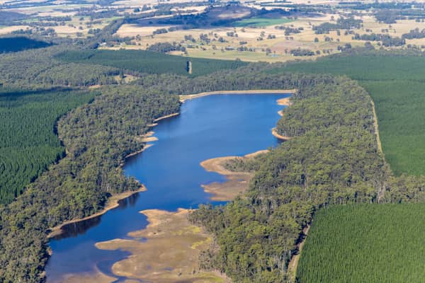 Aerial view of Bostock Reservoir near Spargo Creek, showing shallow inlet wetlands, surrounding bushland, plantation forest and rural farmland beyond.